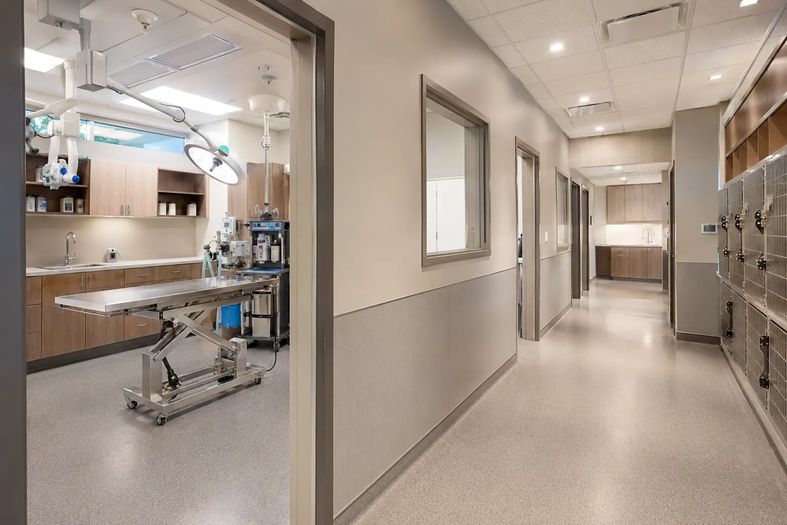 Where animal hospital construction is needed in Markham by Ardenvale Construction