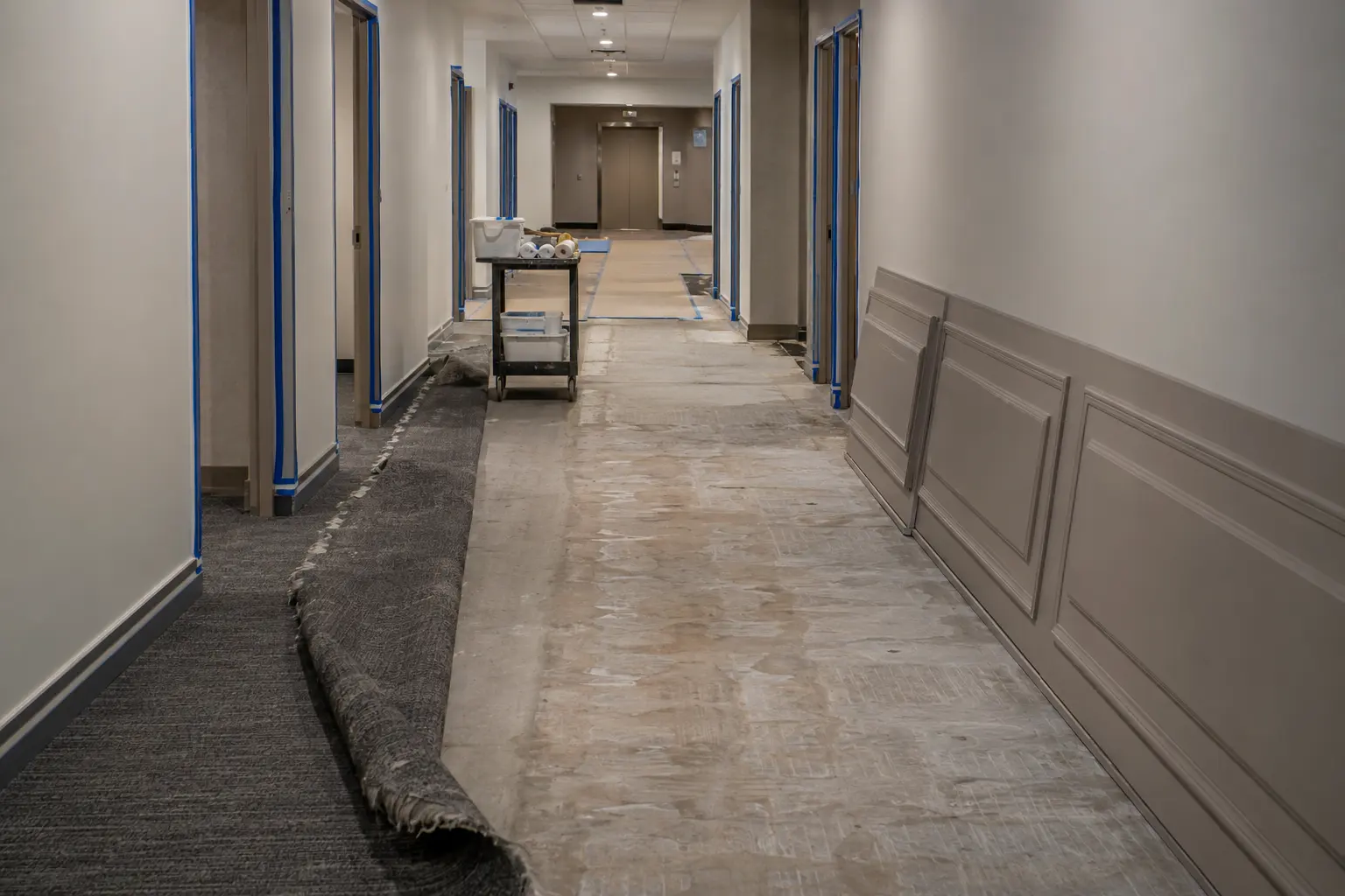 The Maple market for condo corridor renovation by Ardenvale Construction