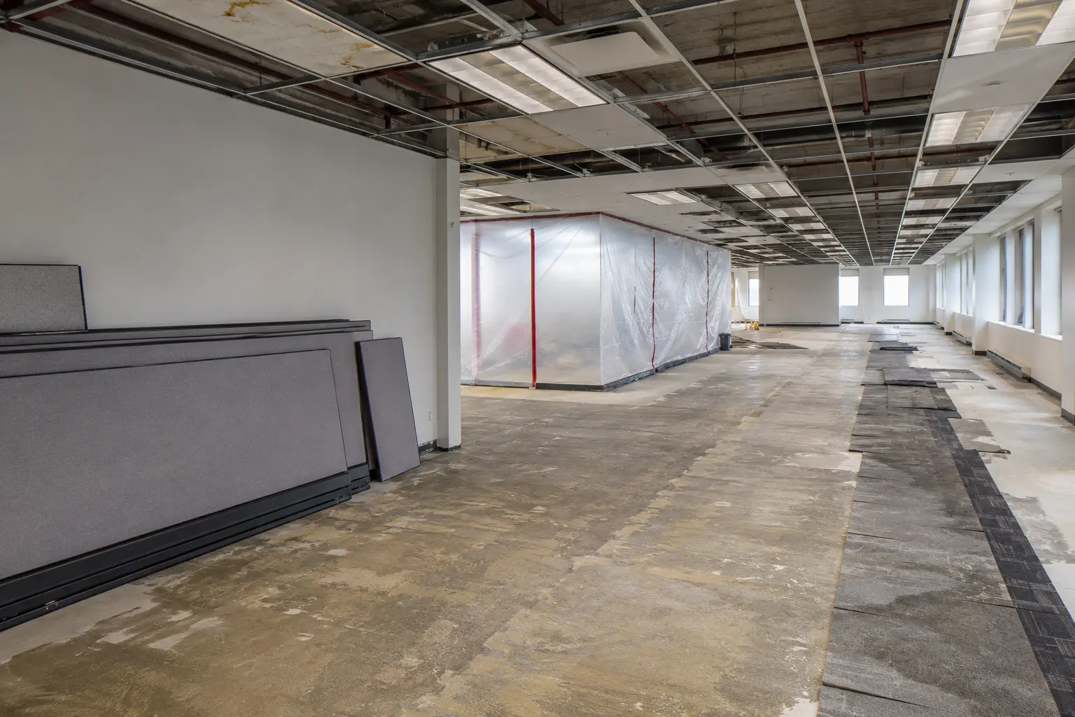 The Maple market for office renovation by Ardenvale Construction